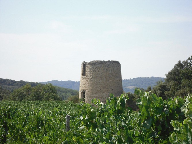 Villelongue d’Aude-Le Bayle