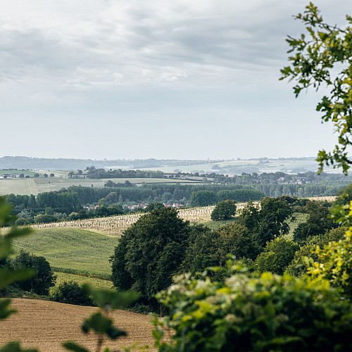 Boucle cyclo 1 Beaurainville - Hesdin
