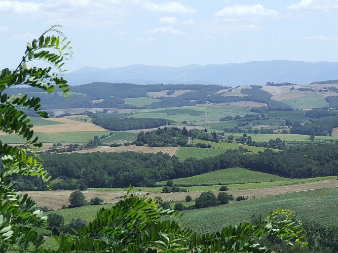 Sentier Paysager de Montgradail