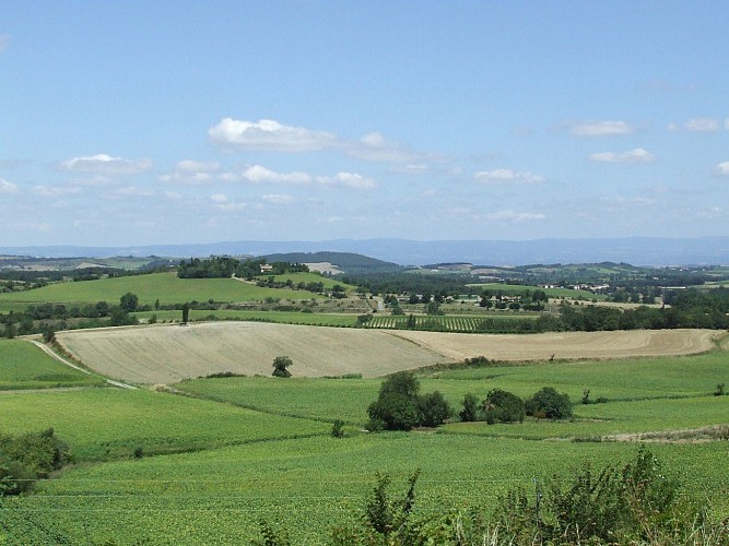 Sentier Paysager de Montgradail