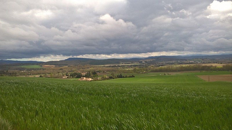 Boucle de Saint Martin de Villereglan