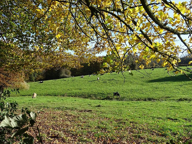 Balade du Chemin de Cappe