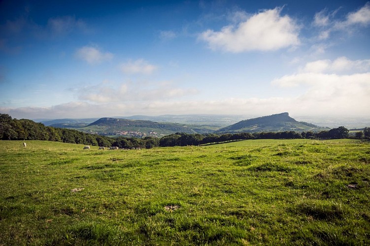 aurélien ibanez (7)