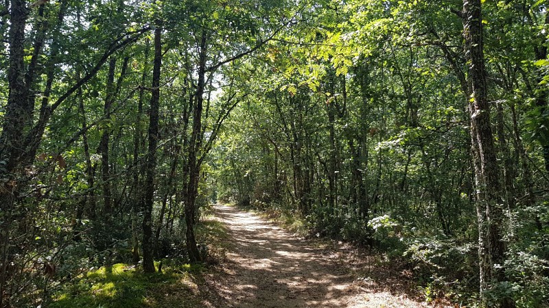 Circuit de la Vayssède PR1 Vaïssac