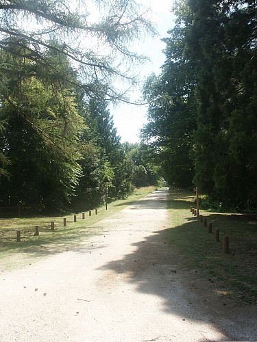 Promenade Carrefours de la Forêt d'Orléans