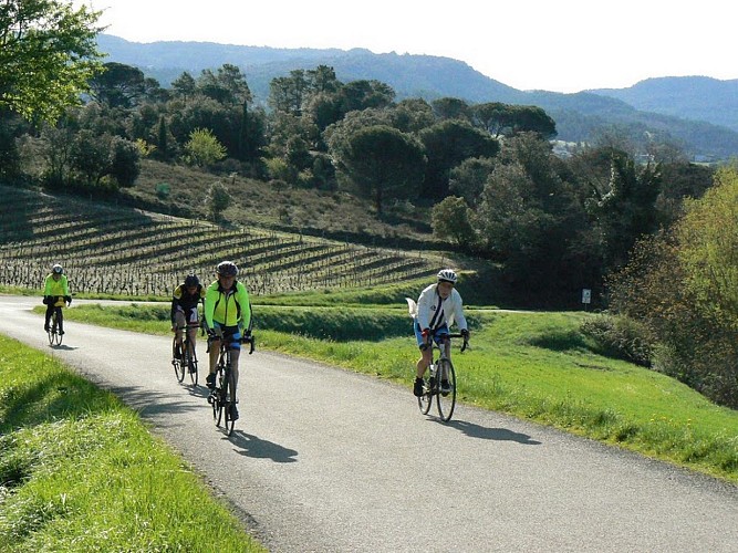 Circuit vélo : terroir Méditerranéen- boucle courte