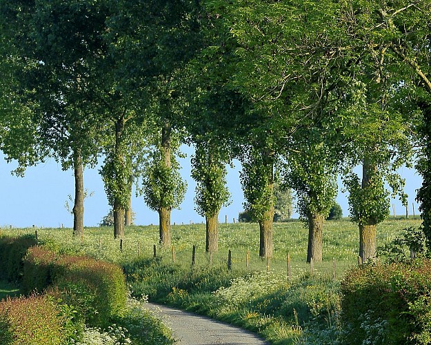 Le Hazois de Diéval