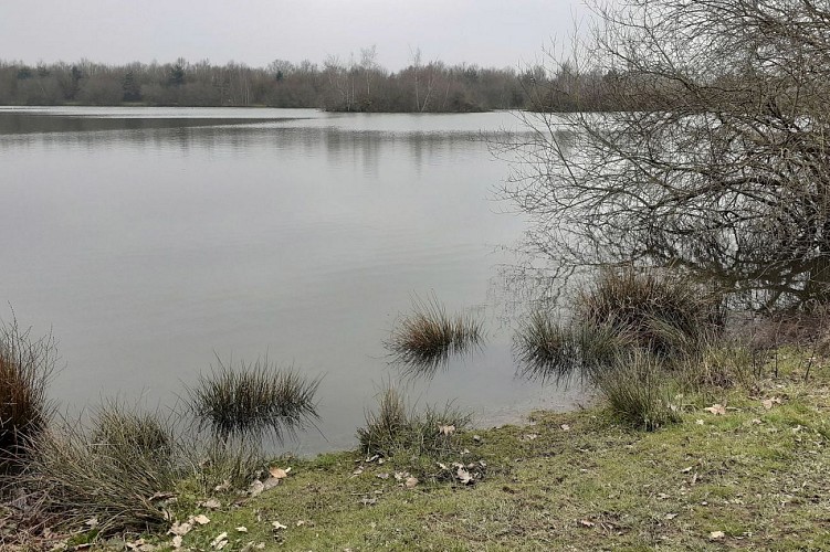 Etang de Mordelles