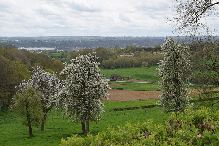 Haccourt (Oupeye) - Au pays des Macrales