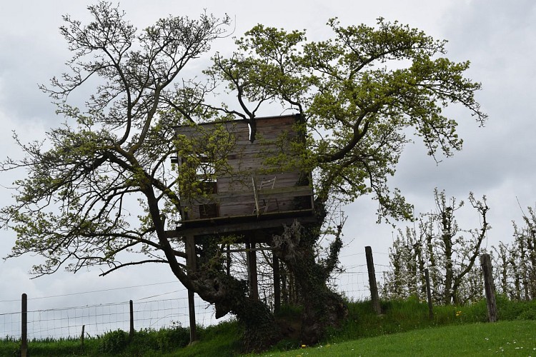 Haccourt (Oupeye) - Au pays des Macrales