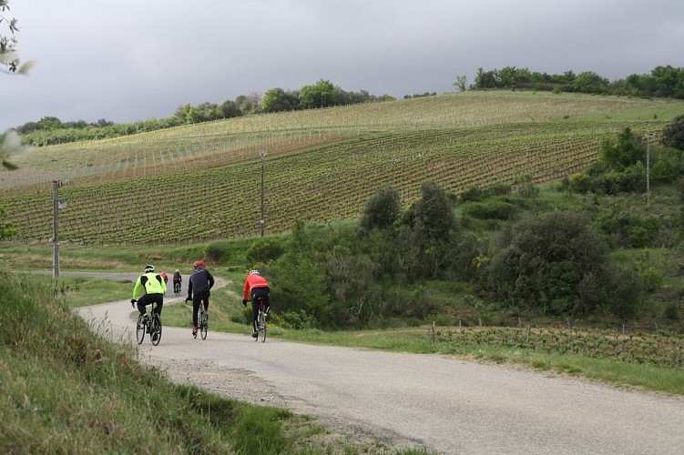 Circuit vélo : territoire Malepère - boucle courte