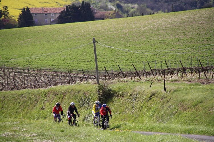 Circuit vélo : territoire Malepère - boucle longue