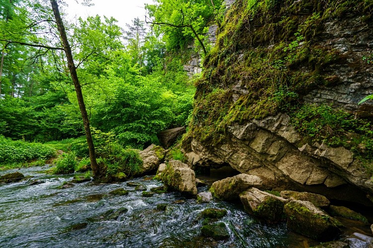 Mtfa_Eprave_08062021_016br