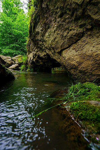 Mtfa_Eprave_08062021_025