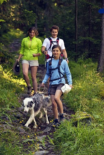 Hiking trail : the Falconnière