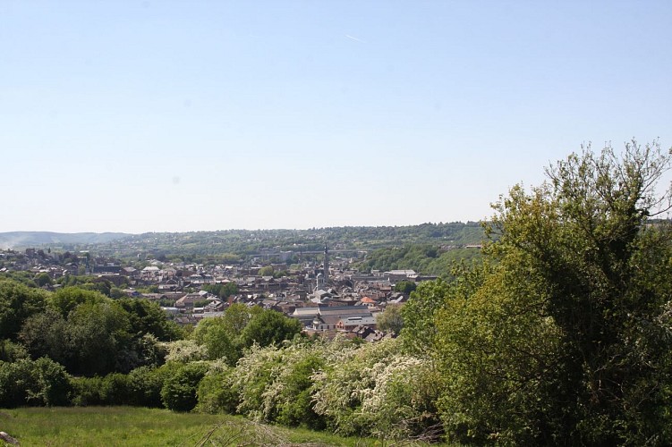 2 vue panoramique verviers (2)