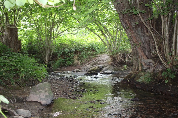 3 ruisseau Rouheid (4)