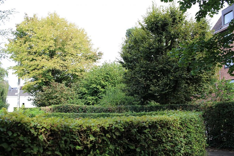 1 Places et avenues arborées (5)