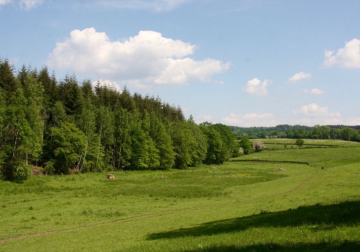 5 amont du Bois ramecroix (6)