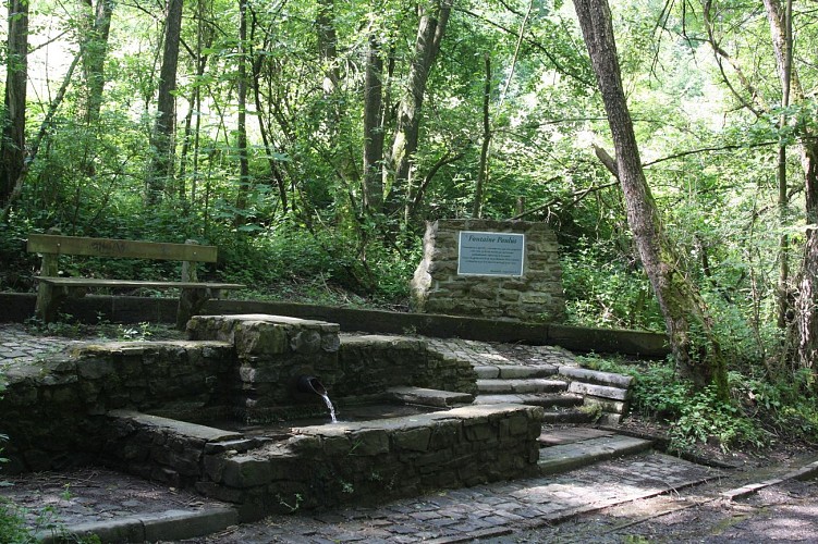 6 Fontaine Paulus (8)