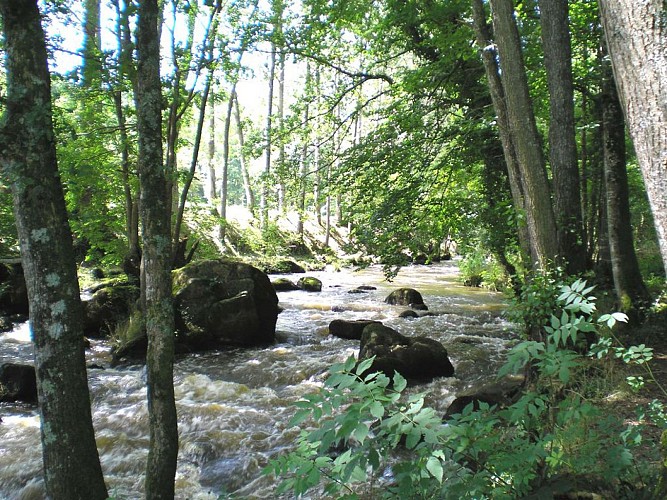 BRECE - RANDONNÉE - CIRCUIT DU SAUT-AU-LOUP - 13 KM