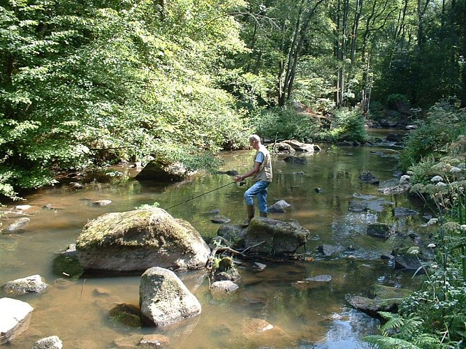 BRECE - RANDONNÉE - CIRCUIT DU SAUT-AU-LOUP - 13 KM