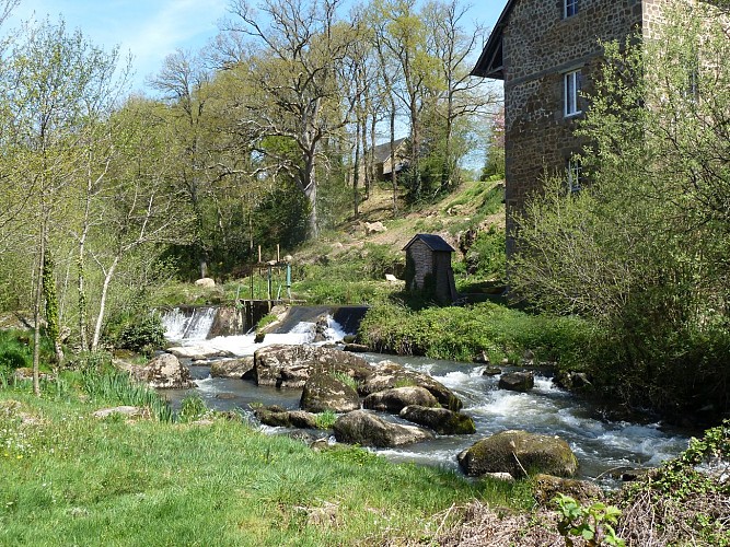 BRECE - RANDONNÉE - CIRCUIT DU SAUT-AU-LOUP - 7 KM