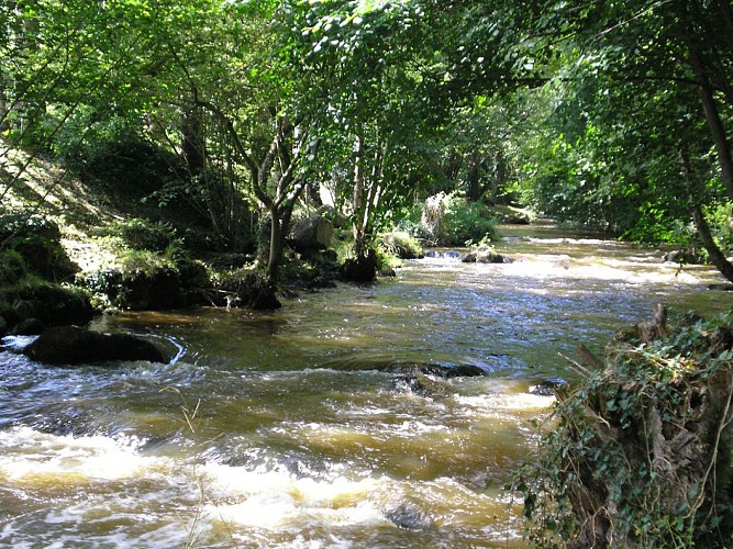 BRECE - RANDONNÉE - CIRCUIT DU SAUT-AU-LOUP - 7 KM