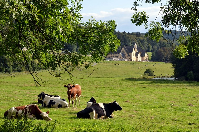 Bouillon - Abbaye Cordemois - vue (P.Willems) (3)