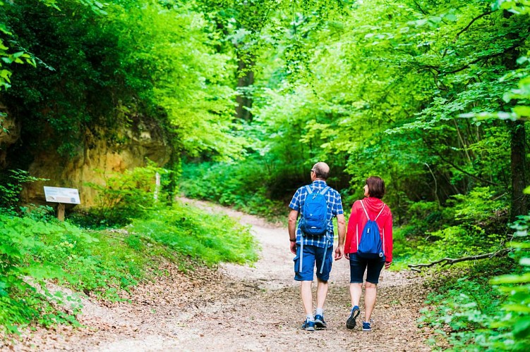 Sentier géologique de Mailly-Champagne (PR 122)