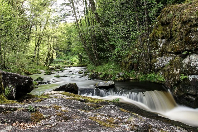 Saut du Loup - © Nicolas Granger