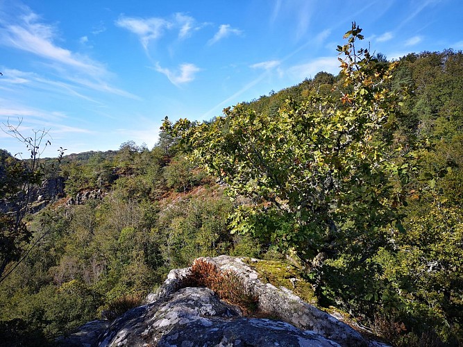 Rocher des Folles - Affieux © N jumelle (3)