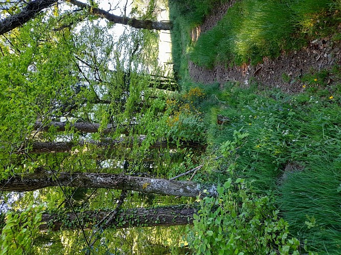 Lou Roual des las Fadas - Treignac © N.Jumelle - Office de Tourisme Terres de Corrèze (1)