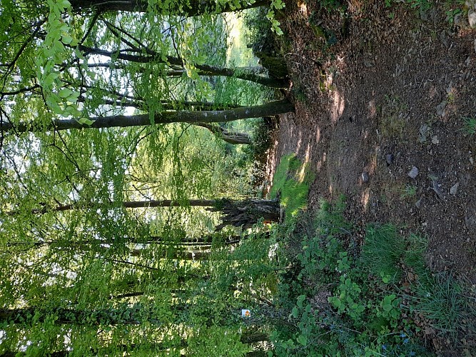Lou Roual des las Fadas - Treignac © N.Jumelle - Office de Tourisme Terres de Corrèze (2)