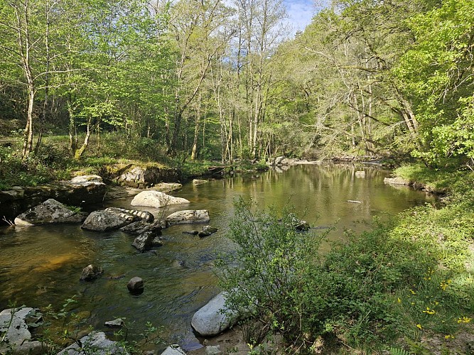 Lou roual de las fadas - Treignac  JL OT TDC (15)