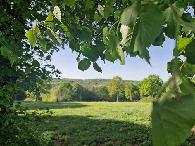 Lou roual de las fadas - Treignac  JL OT TDC (4)