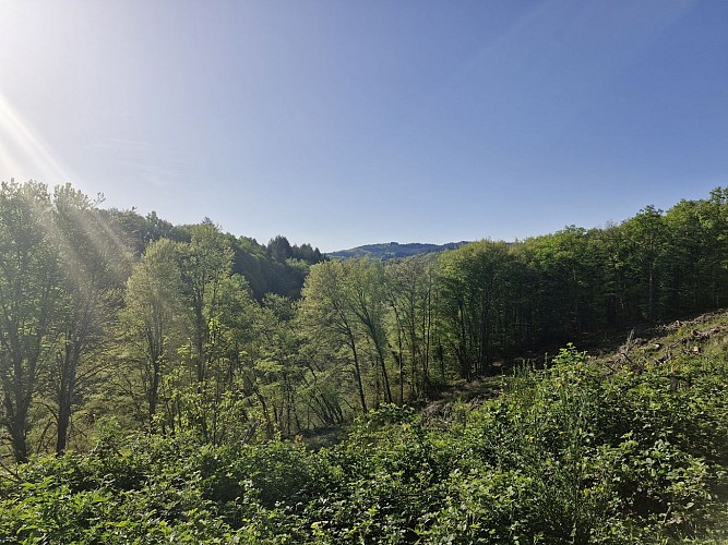 Lou roual de las dadas - Treignac  JL OT TDC (32)