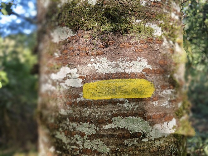 Lou roual de las dadas - Treignac  JL OT TDC (31)