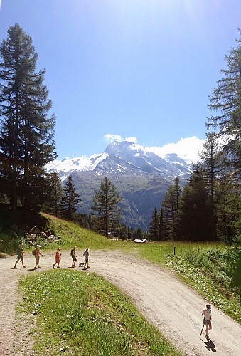 Wandelroute: Plan Bois