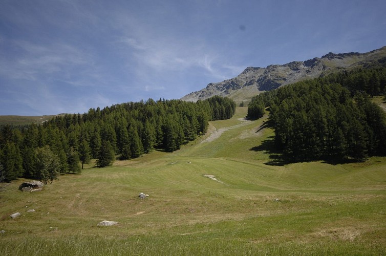 Wandelroute: Plan Bois