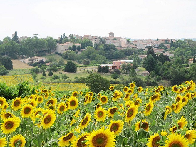 Circuit vélo : boucle du Razès