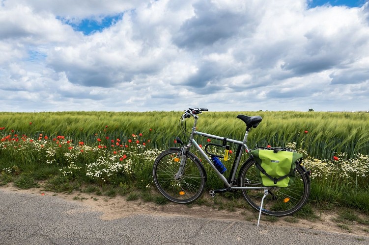 Boucle vélo Château-Landon