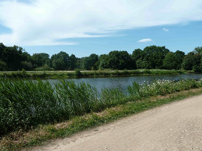 Circuit VTT en Pays de Rennes n°15: Les étangs d'Apigné