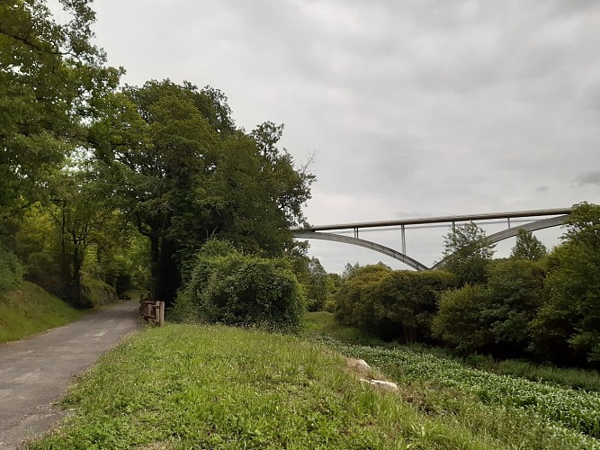 Viaduc de l'Anguienne