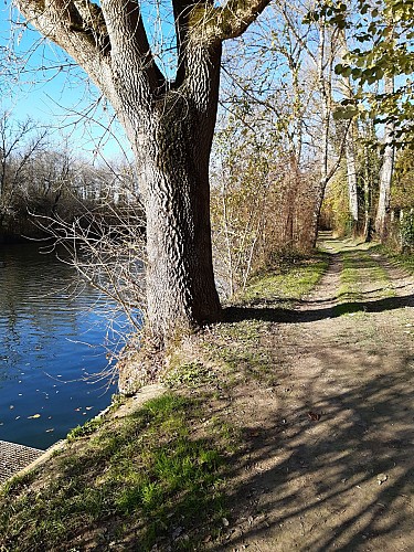 Bord de Charente