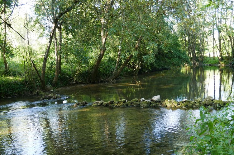 Balzac-bras de la Charente