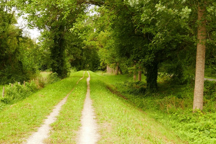 Asnières-sur-Nouère voie verte