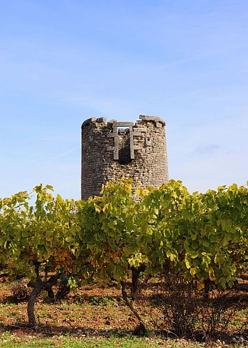 Moulin à vent