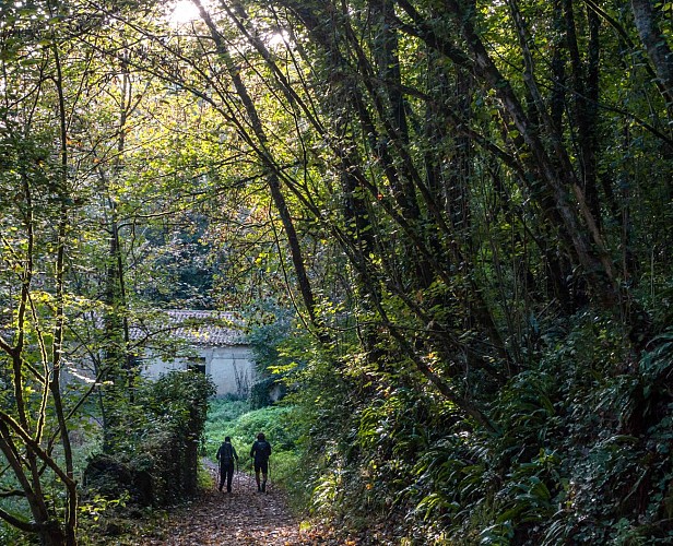 Circuit du fleuve Charente et des vignes