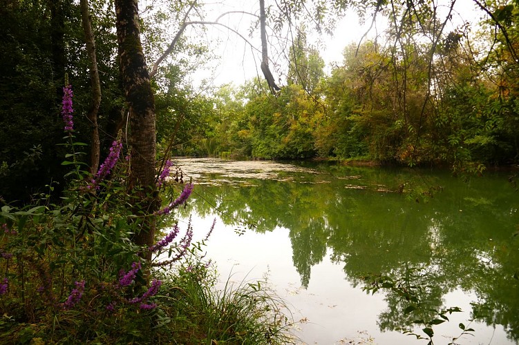 Circuit du fleuve et des vignes